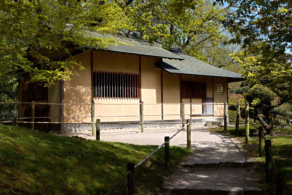 japanse tuin belgie hasselt koivissen gele Iris ensata koi Cyprinus carpio lente bloesem kersenbloesem voorjaar